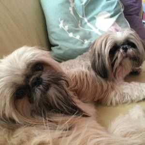 Meet your Posher, Regina